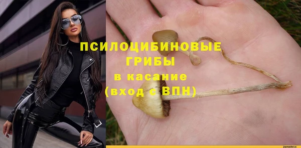 прущая мука Магас