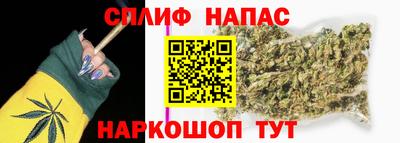 кокс Гатчина