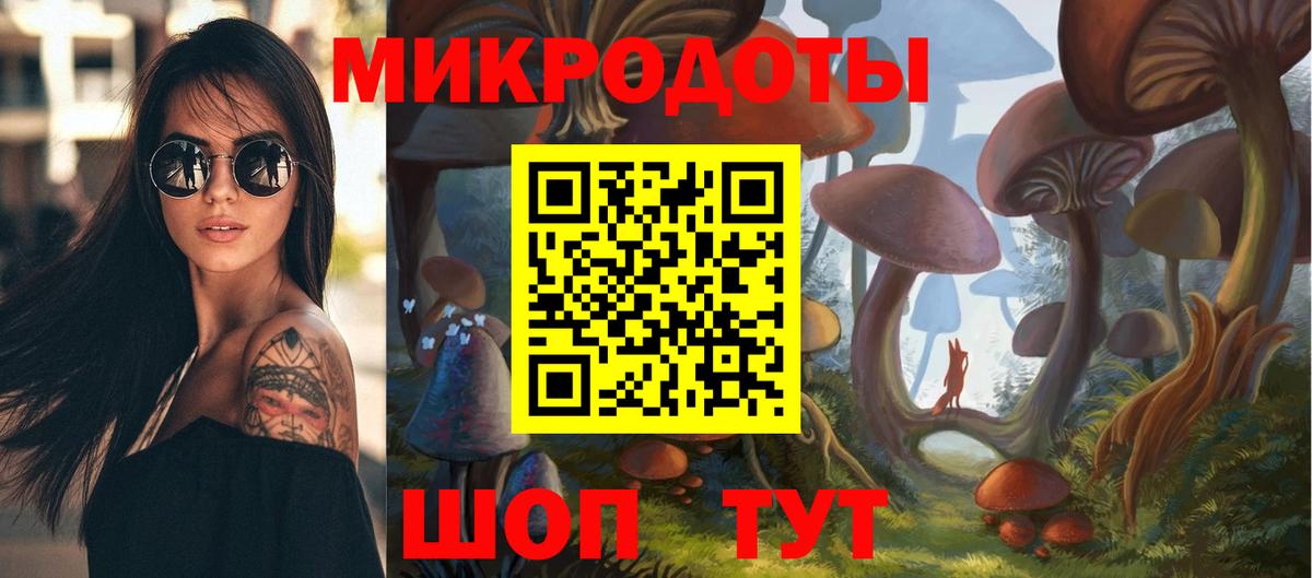 Галлюциногенные грибы Psilocybe Домодедово