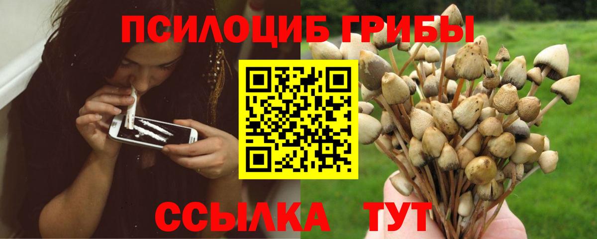 Галлюциногенные грибы мухоморы  Вход с VPN  Псилоцибиновые грибы MAGIC MUSHROOMS  Домодедово 