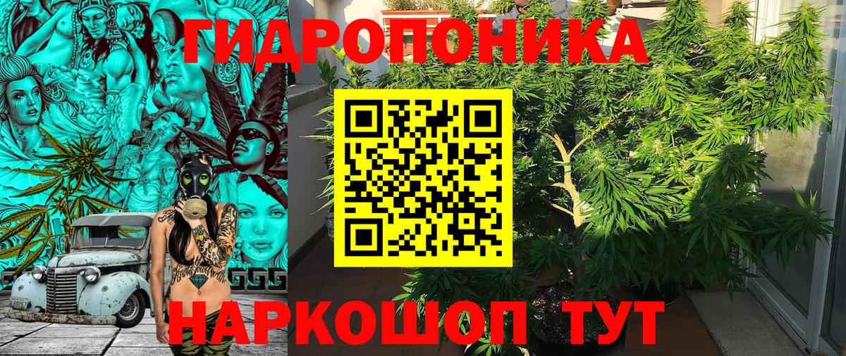 МАРИХУАНА SATIVA & INDICA  Домодедово  Бошки марихуана марихуана  Конопля Bruce Banner 